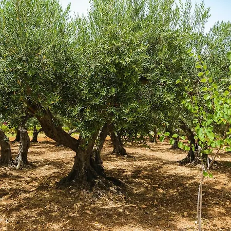 Casale La Macina Scopello 2* Scopello (Sicily)