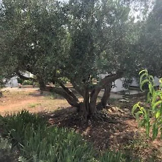 Casale La Macina Scopello Scopello (Sicily)
